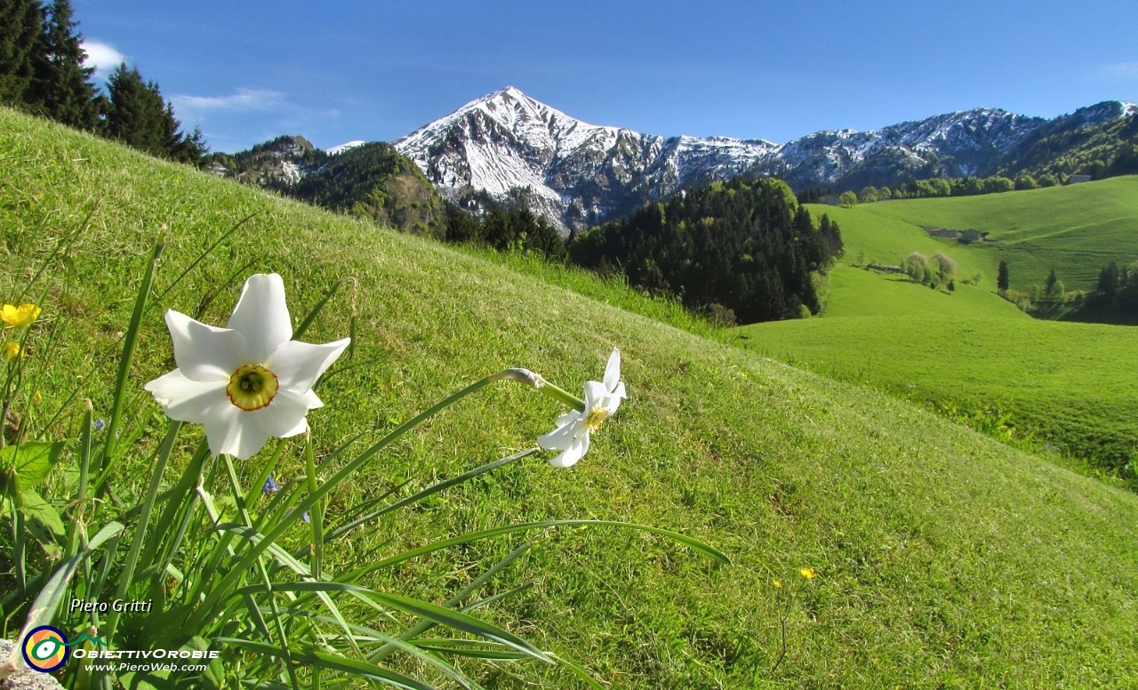 12 Primavera al Colle Palazzo....JPG